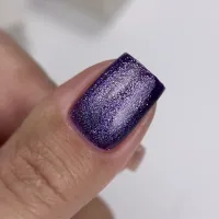 Гель-лак для нігтів котяче око Nailsoftheday Cat Eye 04, 6 мл