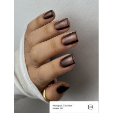 Гель-лак Cat Сolor Ga&Ma Кет Колор 017, 6 мл